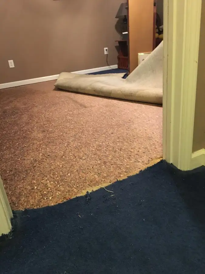 Carpet pad removal revealing water damage during Drying & Dehumidification in Hackettstown