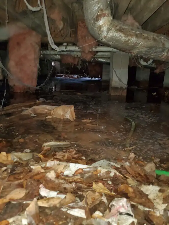 Crawl space flood assessment for Leak Detection & Repair in Hackettstown