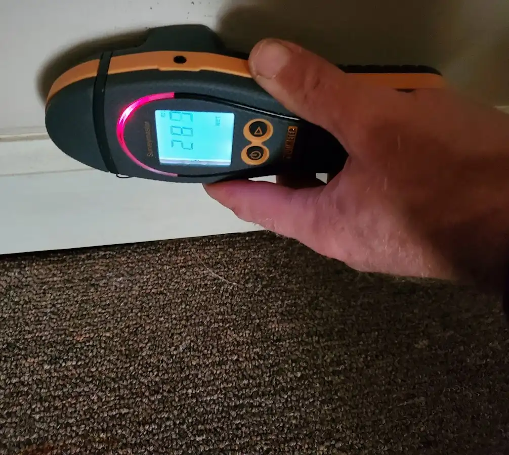 Moisture detection at baseboard during Burst Pipe Cleanup in Hackettstown